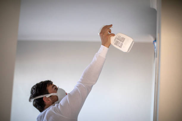 Best Affordable Mold Removal  in Richmond, MI