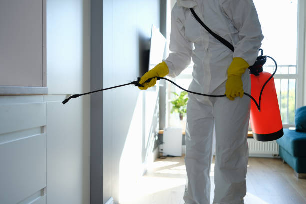 Best Office Mold Removal Services  in Richmond, MI