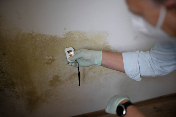 Best Mold Testing  in Richmond, MI