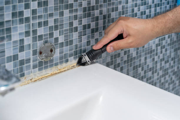 Best Mold Removal Near Me  in Richmond, MI