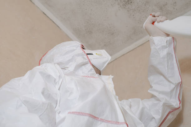Best Local Mold Removal Service  in Richmond, MI