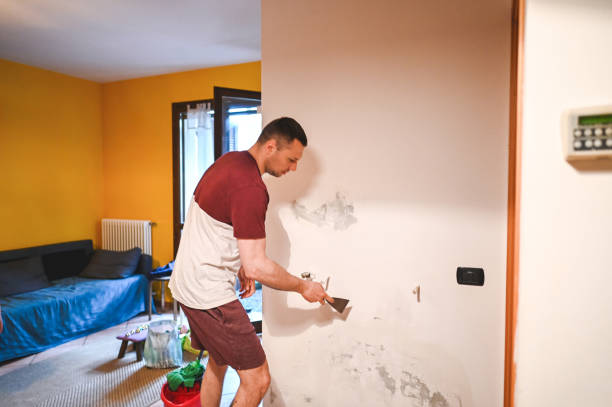 Reliable Richmond, MI Mold Removal Solutions